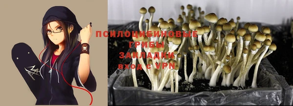 ALPHA PVP Осташков