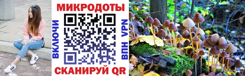 Галлюциногенные грибы Magic Shrooms  Плавск 